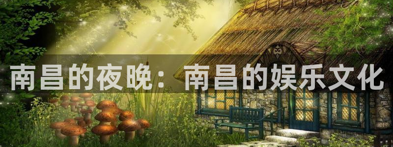 永信贵宾会最新地址：南昌的夜晚：南昌的娱乐文化