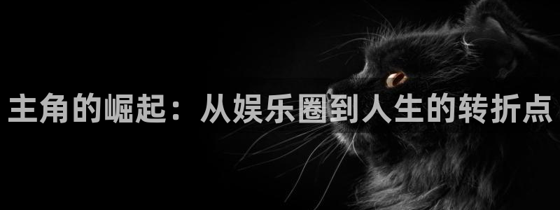 永信贵宾会：主角的崛起：从娱乐圈到人生的转折点