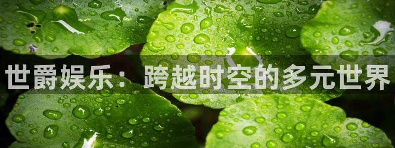 永信贵宾会备用网址：世爵娱乐：跨越时空的多元世界