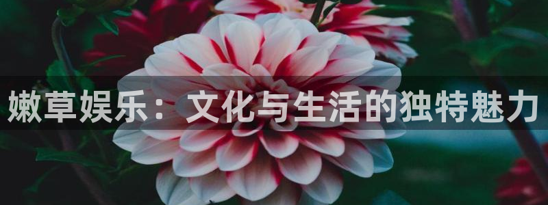 永信贵宾会信誉好不