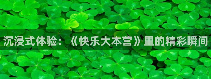 永信贵宾会手机版