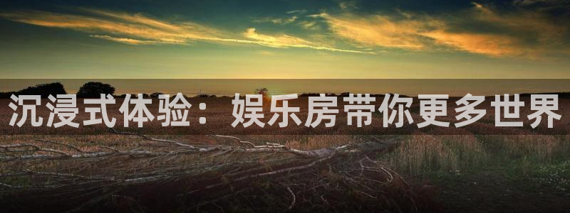 永信贵宾会备用网址：沉浸式体验：娱乐房带你更多世界