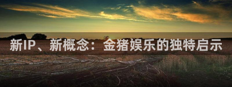 永信贵宾会：新IP、新概念：金猪娱乐的独特启示