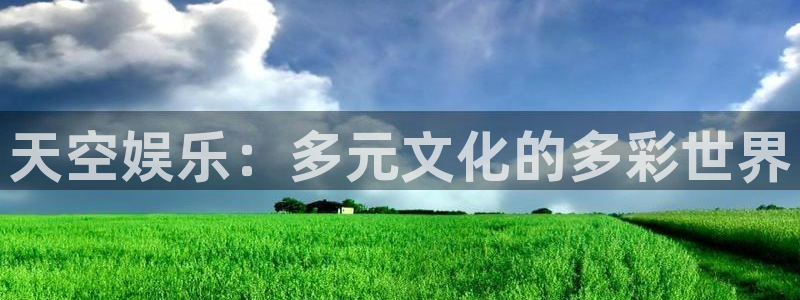 永信贵宾会备用网址：天空娱乐：多元文化的多彩世界