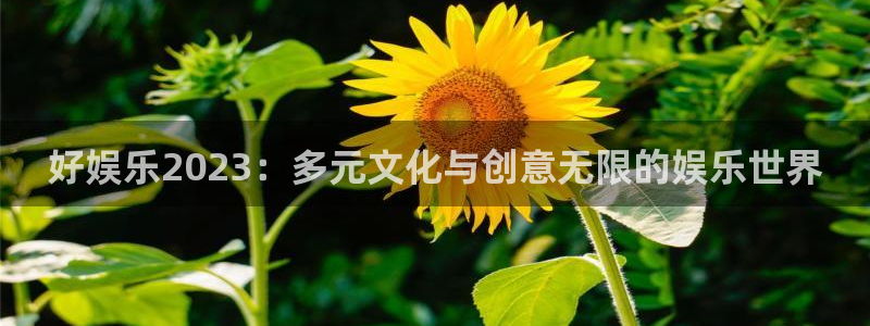 永信贵宾会信誉好不：好娱乐2023：多元文化与创意无限的娱乐世界