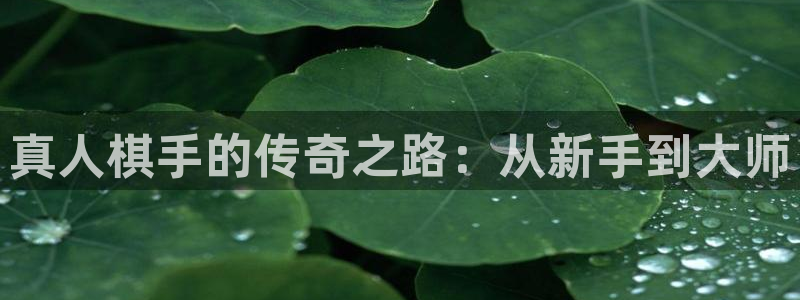 永信贵宾会最新地址：真人棋手的传奇之路：从新手到大师