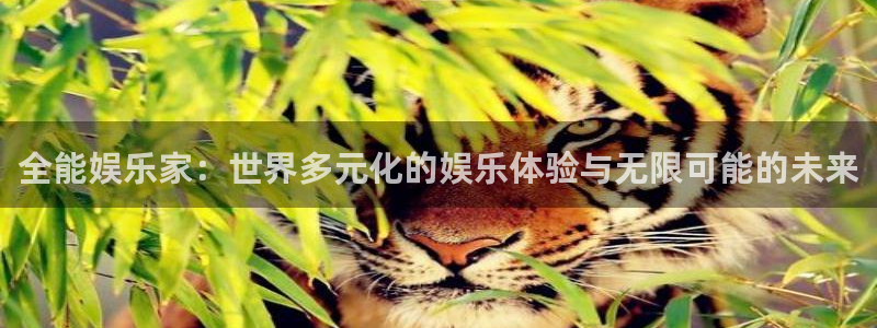 永信贵宾会信誉好不：全能娱乐家：世界多元化的娱乐体验与无限可能的未来