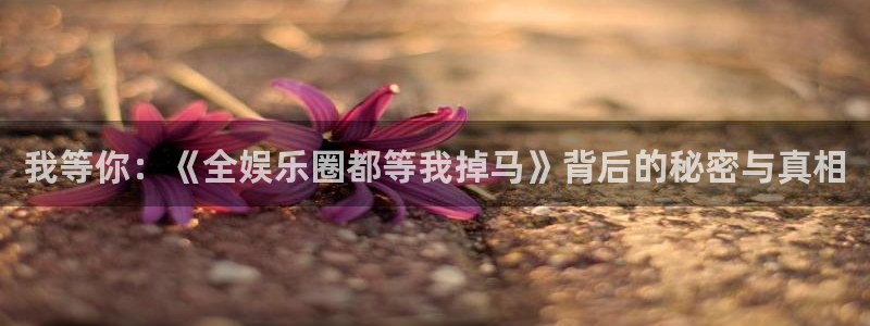 永信贵宾会：我等你：《全娱乐圈都等我掉马》背后的秘密与真相