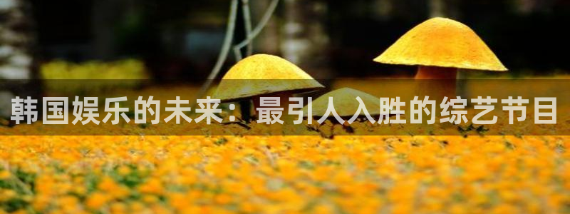 永信贵宾会手机版：韩国娱乐的未来：最引人入胜的综艺节目