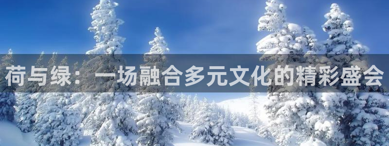 永信贵宾会最新地址：荷与绿：一场融合多元文化的精彩盛会